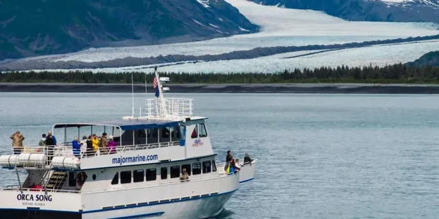 Seward Wildlife Cruise in Spring - 4 hr - Image 5