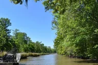 New Orleans Plantation and Airboat Tour thumbnail 4