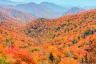 Pigeon Forge Cade's Cove History Driving Tour thumbnail 2