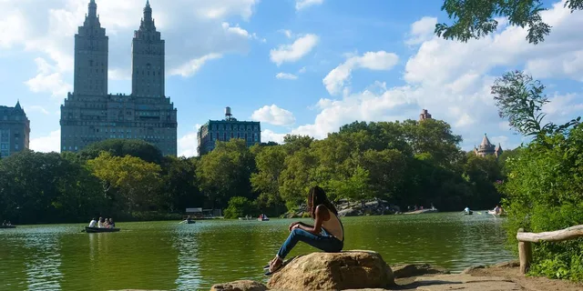 New York Central Park Walking Tour - Image 5