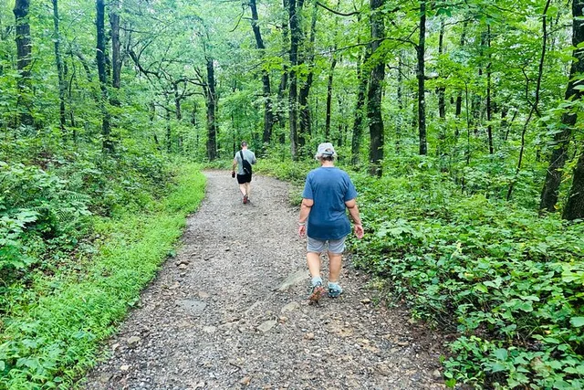 Yonah Mountain Private Hike in Georgia - Image 3