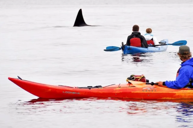 Sucia Island Kayak Expedition - Image 3