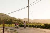 Sonoma Electric Bike Wine Tasting Tour thumbnail 3
