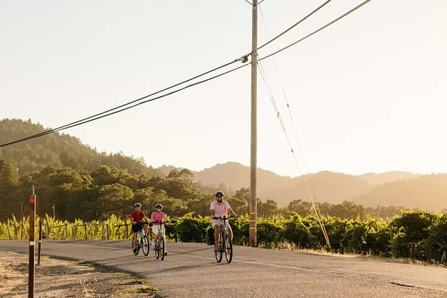 Sonoma Electric Bike Wine Tasting Tour - Image 3