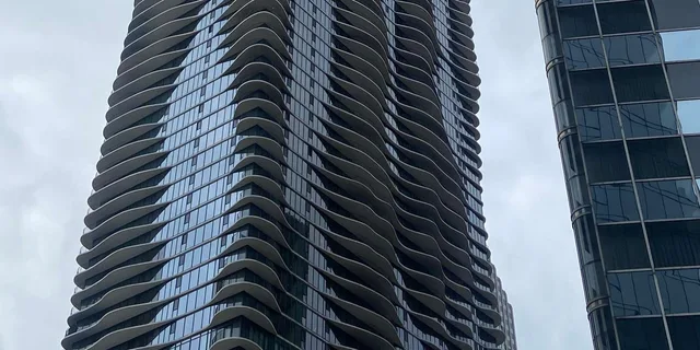 Chicago Crime and Movies Walking Tour - Image 4