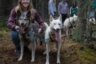Fairbanks Mushing Cart Ride and Kennel Tour thumbnail 3