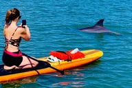 St. Augustine Kayak Adventure with Dolphins thumbnail 2