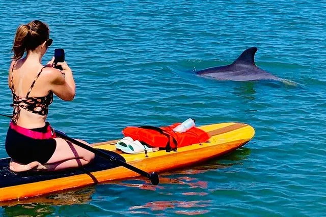 St. Augustine Kayak Adventure with Dolphins - Image 2