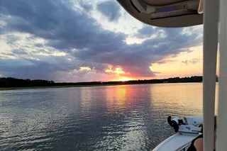 Hilton Head Island Dolphin Boat Tour