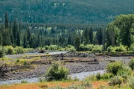 Yellowstone Lamar River Valley Day Hike thumbnail 1