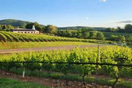 Charlottesville Wine Tour thumbnail 2