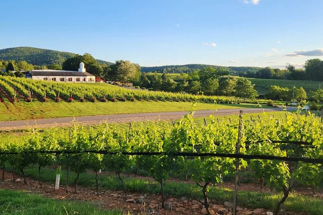 Charlottesville Wine Tour - Image 2