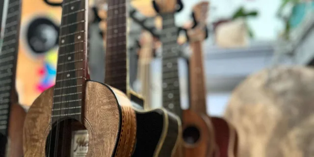 Maui Ukulele Music Lesson 1 hr - Image 3