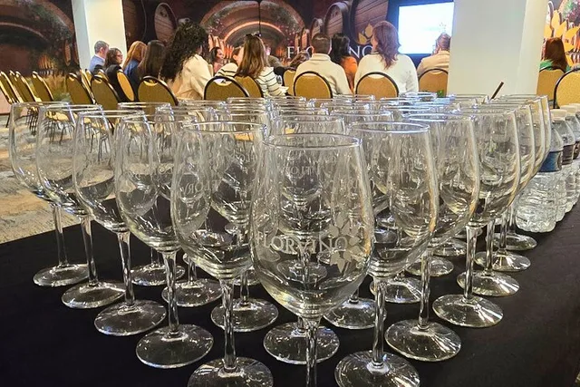 San Antonio Wine Tasting Experience - Image 2