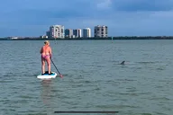 Bonita Springs Standup Paddle Board EcoTour thumbnail 3
