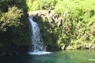 Maui Rainforest & Waterfall Experience thumbnail 6