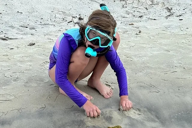 Orange Beach Snorkeling Excursion - Image 5