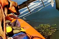 Fayette County Paddle Board Adventure thumbnail 5