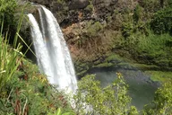 Kauai East Side and North Shore Guided Tour thumbnail 6