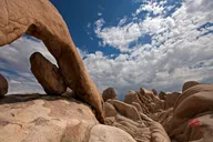 Joshua Tree National Park Self-Guided Driving Audio Tour thumbnail 1