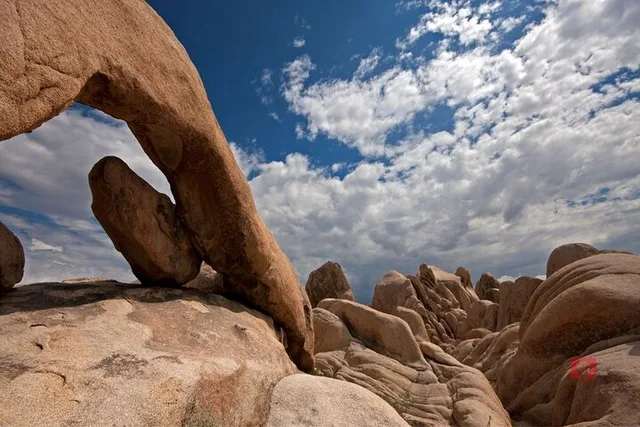 Joshua Tree National Park Self-Guided Driving Audio Tour - Image 1