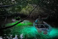 Key West Night Kayak Adventure in Luminous Lagoon thumbnail 6