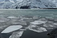Anchorage Northern Lights Tour thumbnail 6