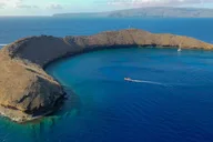 Kihei Molokini Crater and Turtle Town Snorkeling thumbnail 1