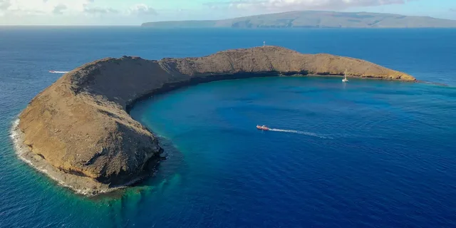 Kihei Molokini Crater and Turtle Town Snorkeling - Image 1