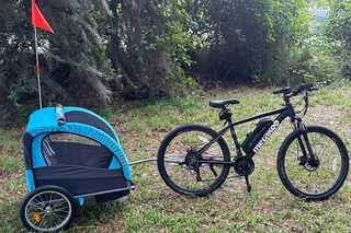 Kissimmee E-Bike Lakefront Tour with Child Trailer