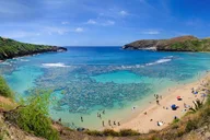 Oahu Circle Island Sights & Bites Tour thumbnail 6