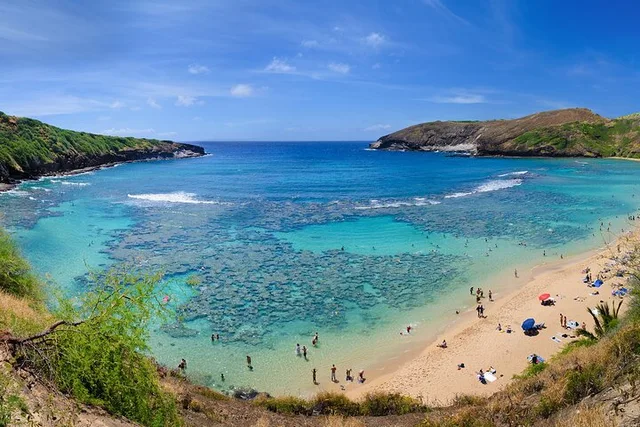 Oahu Circle Island Sights & Bites Tour - Image 6