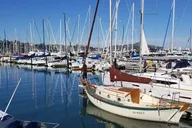 San Francisco Alcatraz and Muir Woods Tour thumbnail 5