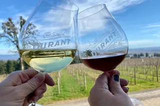 Portland Wine Tour in Willamette Valley