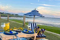 Charleston Themed Picnic Experience 2 hr thumbnail 3