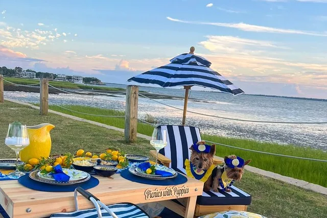 Charleston Themed Picnic Experience 2 hr - Image 3