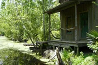 New Orleans Bayou and Swamp Tour thumbnail 3