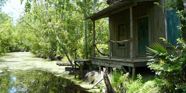 New Orleans Bayou and Swamp Tour - Image 3
