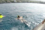 Kailua-Kona Snorkel Cruise in Kealakekua Bay thumbnail 4