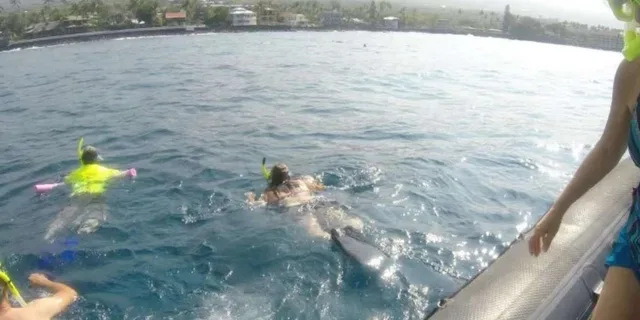 Kailua-Kona Snorkel Cruise in Kealakekua Bay - Image 4