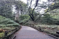 San Francisco City Tour with Muir Woods & Sausalito thumbnail 6