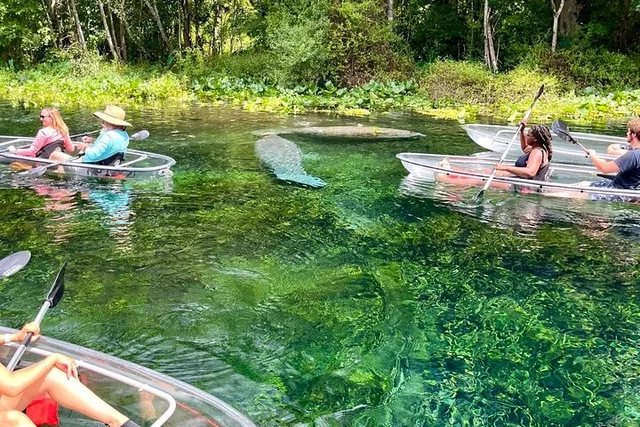 Silver Springs Glass Bottom Kayak Tour - Image 1
