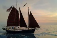 Baltimore Inner Harbor Sail thumbnail 6