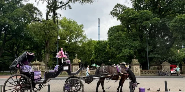 New York City Horse Carriage Ride in Central Park - Image 4