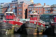 Boston Kennebunkport Day Trip with Optional Lobster Tour thumbnail 2