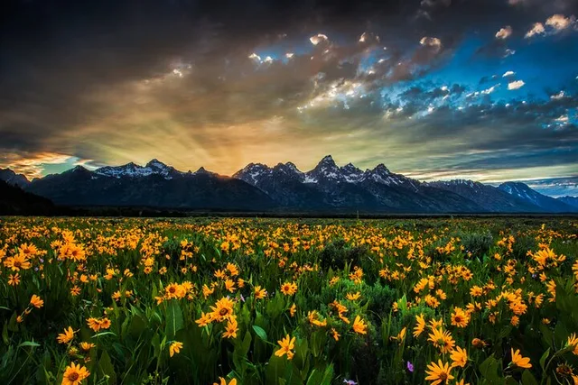 Grand Teton National Park Private Tour - Image 6