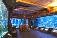 Houston CityPASS: Explore 5 Attractions thumbnail 3