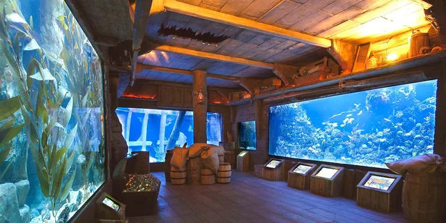Houston CityPASS: Explore 5 Attractions - Image 3