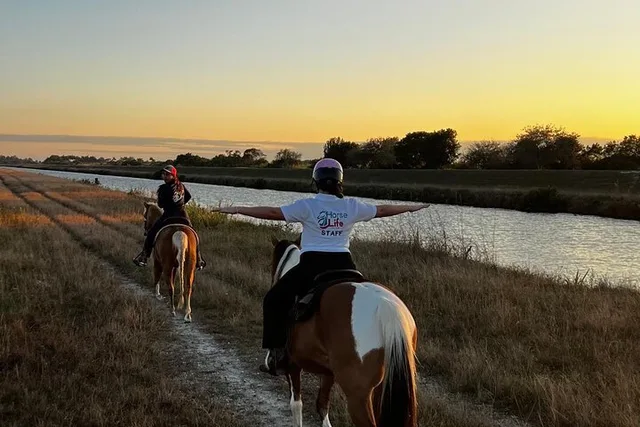 Miami Horseback Riding - Image 3