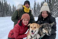 Fairbanks Dog Sledding and Mushing Experience thumbnail 1